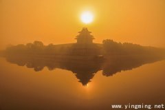 岳麓區專業做網站的公司